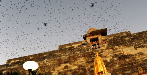 Foto: © Kamila Berndorffová - moje INDIE Foto: © Kamila Berndorffová - moje INDIE